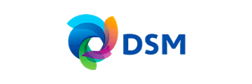 DSM-LinkFlow官网-首页Logo墙