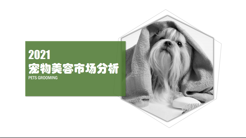 中国宠物美容市场分析研究报告2021 - LinkFlow干货