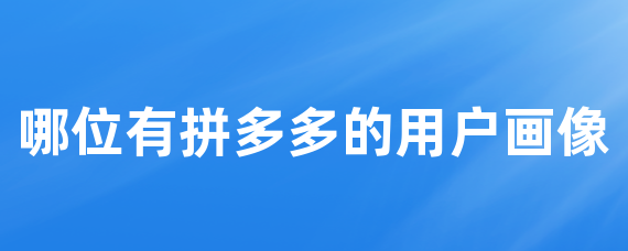 哪位有拼多多的用户画像