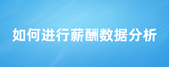 如何进行薪酬数据分析