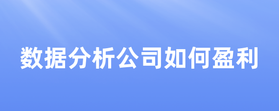 数据分析公司如何盈利